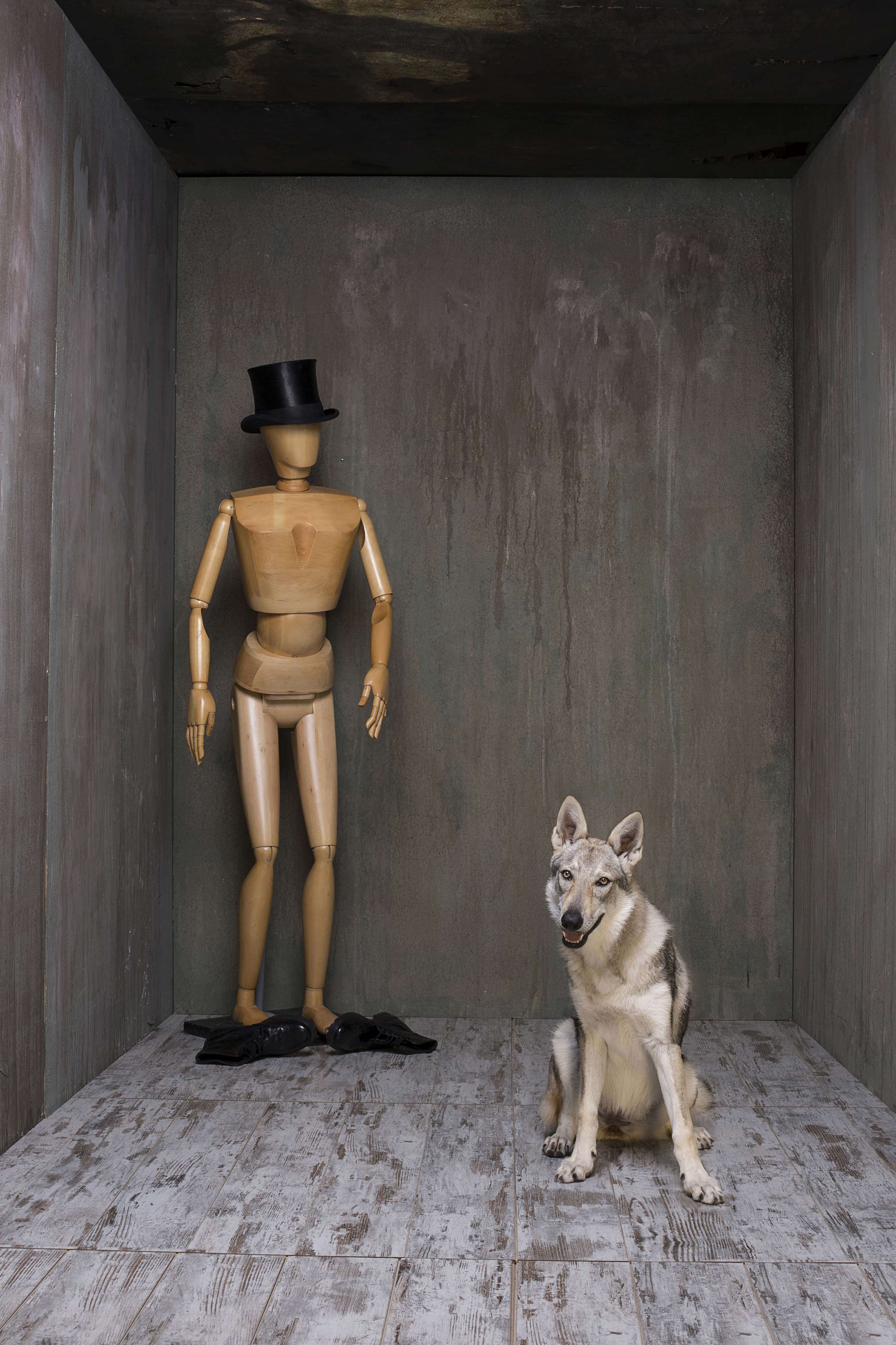 A wooden artist's mannequin in a top hat with black gloves at its feet, beside a seated wolfdog, in the concrete room