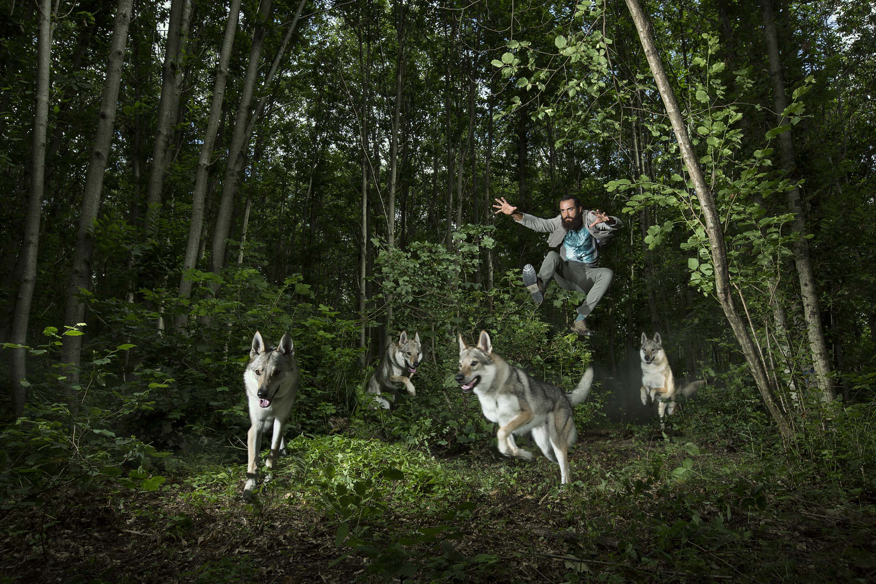 The model leaping in mid-air through the forest as four wolfdogs run beneath him